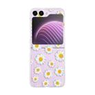 For Samsung Galaxy Z Flip5 Painted Pattern PC Transparent Folding Phone Case(Z61 Daisy) - 1