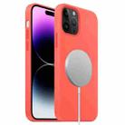 For iPhone 15 Pro Liquid Silicone Full Coverage MagSafe Phone Case(Pink Orange) - 1