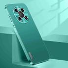 For Huawei Mate 40 Streamer Series Micro Frosted Metal Paint PC Phone Case(Alpine Green) - 1
