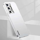 For Huawei P40 Pro Streamer Series Micro Frosted Metal Paint PC Phone Case(Silver) - 1