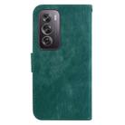 For OPPO Reno12 Pro 5G Global Little Tiger Embossed Leather Phone Case(Green) - 3