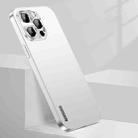 For iPhone 14 Pro Streamer Series Micro Frosted Metal Paint PC Phone Case(Silver) - 1