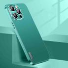 For iPhone 13 Pro Streamer Series Micro Frosted Metal Paint PC Phone Case(Alpine Green) - 1