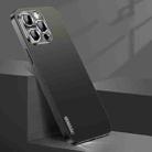 For iPhone 12 Pro Streamer Series Micro Frosted Metal Paint PC Phone Case(Black) - 1
