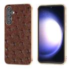 For Samsung Galaxy S23 FE 5G Genuine Leather Ostrich Texture Series Nano Plating Phone Case(Brown) - 1