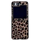 For Samsung Galaxy Z Flip5 Animal Pattern Texture Protective Phone Case(Golden Leopard Print) - 1