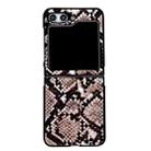 For Samsung Galaxy Z Flip5 Animal Pattern Texture Protective Phone Case(Golden Snake Texture) - 1