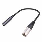 0.3m 6.35mm Female to XLR Male Microphone Audio Conversion Cable - 1