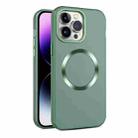 For iPhone 15 Pro CD Texture MagSafe Frosted Translucent Phone Case(Green) - 1