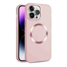 For iPhone 15 Pro CD Texture MagSafe Frosted Translucent Phone Case(Pink) - 1