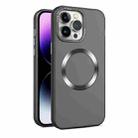 For iPhone 15 Pro CD Texture MagSafe Frosted Translucent Phone Case(Black) - 1