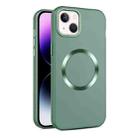 For iPhone 15 CD Texture MagSafe Frosted Translucent Phone Case(Green) - 1