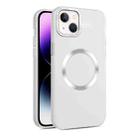 For iPhone 15 CD Texture MagSafe Frosted Translucent Phone Case(White) - 1