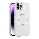 For iPhone 12 Pro Max CD Texture MagSafe Frosted Translucent Phone Case(White) - 1