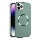 For iPhone 11 Pro Max CD Texture MagSafe Frosted Translucent Phone Case(Green) - 1