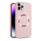 For iPhone 11 Pro Max CD Texture MagSafe Frosted Translucent Phone Case(Pink) - 1
