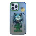 For iPhone 14 Pro Aurora Series Painted Pattern Phone Case(Wolf) - 1