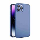 For iPhone 11 Pro Eagle Eye CD Texture Lens Skin Feel Matte Phone Case(Royal Blue) - 1