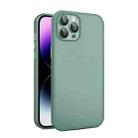 For iPhone 11 Pro Eagle Eye CD Texture Lens Skin Feel Matte Phone Case(Dark Green) - 1