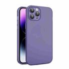 For iPhone 11 Pro Max Eagle Eye CD Texture Lens Skin Feel Matte Phone Case(Dark Purple) - 1