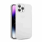 For iPhone 11 Pro Max Eagle Eye CD Texture Lens Skin Feel Matte Phone Case(Matte White) - 1