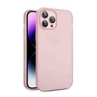 For iPhone 11 Pro Max Eagle Eye CD Texture Lens Skin Feel Matte Phone Case(Pink) - 1