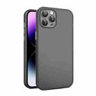 For iPhone 11 Pro Max Eagle Eye CD Texture Lens Skin Feel Matte Phone Case(Black) - 1