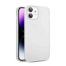 For iPhone 12 Eagle Eye CD Texture Lens Skin Feel Matte Phone Case(Matte White) - 1