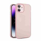 For iPhone 12 Eagle Eye CD Texture Lens Skin Feel Matte Phone Case(Pink) - 1