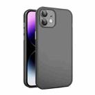 For iPhone 12 Eagle Eye CD Texture Lens Skin Feel Matte Phone Case(Black) - 1