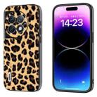For OnePlus Ace 2 Pro ABEEL Black Edge Leopard Phone Case(Leopard Print) - 1