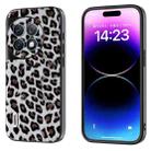 For OnePlus Ace 2 Pro ABEEL Black Edge Leopard Phone Case(Silver Leopard) - 1