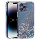 For iPhone 15 Pro DFANS DESIGN Golden Diamond TPU+PC Phone Case(Blue) - 1