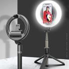 L07 LED 5-inch Fill Light + Selfie Stick with Holder - 1