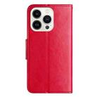 For iPhone 16 Pro Max Butterfly Flower Pattern Flip Leather Phone Case(Red) - 3