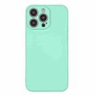 For iPhone 16 Pro Max Silicone Phone Case with Wrist Strap(Mint Green) - 2