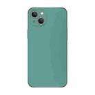 For iPhone 15 Plus Electroplating AG Frosted Phone Case(Green) - 1
