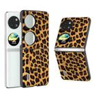 For Huawei P60 Pocket ABEEL Black Edge Leopard Phone Case(Golden Leopard) - 1