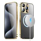 For iPhone 16 Pro Max Frosted MagSafe Magnetic Metal Phone Case(Gold) - 1