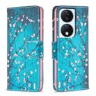 For Honor X7b Colored Drawing Pattern Leather Phone Case(Plum Blossom) - 1