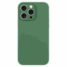 For iPhone 15 Pro Max Pure Color Liquid Silicone Fine Pore Phone Case(Clover Green) - 1