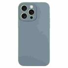 For iPhone 15 Pro Max Pure Color Liquid Silicone Fine Pore Phone Case(Pine Needle Green) - 1