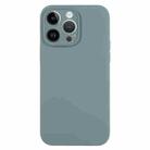 For iPhone 13 Pro Max Pure Color Liquid Silicone Fine Pore Phone Case(Pine Needle Green) - 1