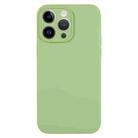 For iPhone 13 Pro Pure Color Liquid Silicone Fine Pore Phone Case(Mint Green) - 1