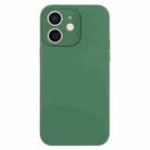 For iPhone 12 Pure Color Liquid Silicone Fine Pore Phone Case(Clover Green) - 1