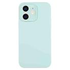 For iPhone 12 Pure Color Liquid Silicone Fine Pore Phone Case(Turquoise) - 1