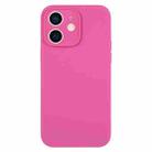 For iPhone 12 Pure Color Liquid Silicone Fine Pore Phone Case(Pitaya) - 1