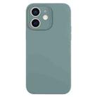 For iPhone 12 Pure Color Liquid Silicone Fine Pore Phone Case(Pine Needle Green) - 1