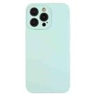 For iPhone 12 Pro Max Pure Color Liquid Silicone Fine Pore Phone Case(Turquoise) - 1