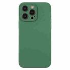 For iPhone 12 Pro Pure Color Liquid Silicone Fine Pore Phone Case(Clover Green) - 1